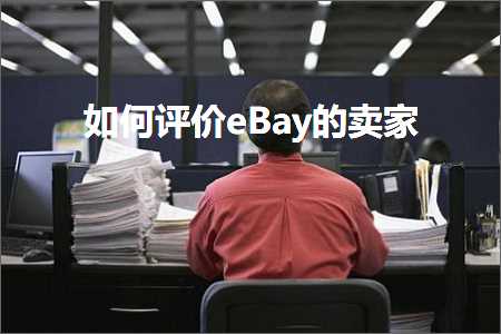 璺ㄥ鐢靛晢鐭ヨ瘑:濡備綍璇勪环eBay鐨勫崠瀹? width=