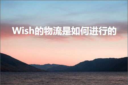 璺ㄥ鐢靛晢鐭ヨ瘑:Wish鐨勭墿娴佹槸濡備綍杩涜鐨? width=