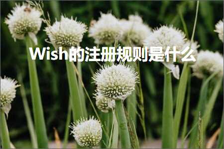 璺ㄥ鐢靛晢鐭ヨ瘑:Wish鐨勬敞鍐岃鍒欐槸浠€涔? width=