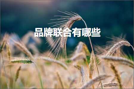 璺ㄥ鐢靛晢鐭ヨ瘑:鍝佺墝鑱斿悎鏈夊摢浜? width=