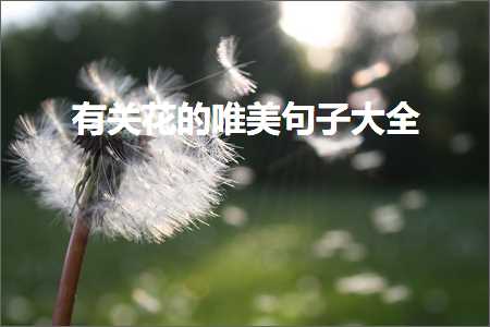 有关花的唯美句子大全（文案777条）